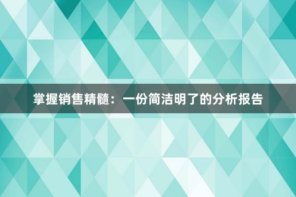 掌握销售精髓：一份简洁明了的分析报告